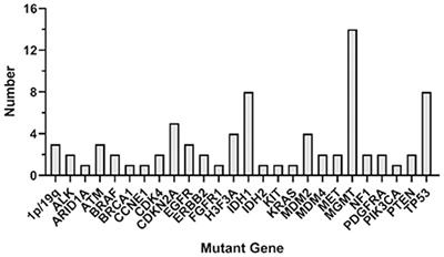 Next-Generation Sequencing Analysis of ctDNA for the Detection of Glioma and Metastatic Brain Tumors in Adults